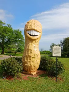The “Smiling Peanut,” shared by David Bean, is a fixture at Jimmy Carter National Historical Park in Plains, Georgia, acknowledging the city’s peanut economy and the late president’s peanut farming business. 
