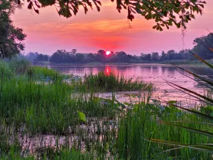 . At Three Rivers State Park in northern Florida, Bruce Watters caught the sun descending over Lake Seminole. 