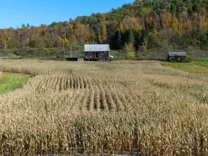 Enjoy bucolic views aboard the East Broad Top Railroad.
