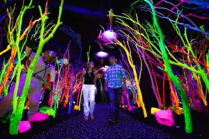 Meow Wolf Santa Fe offers immersive art experiences and interactive exhibits.