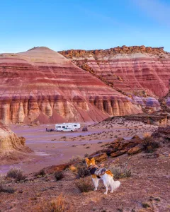 Designated off-leash areas in parks and other natural settings expand the travel opportunities for well-behaved canines.
