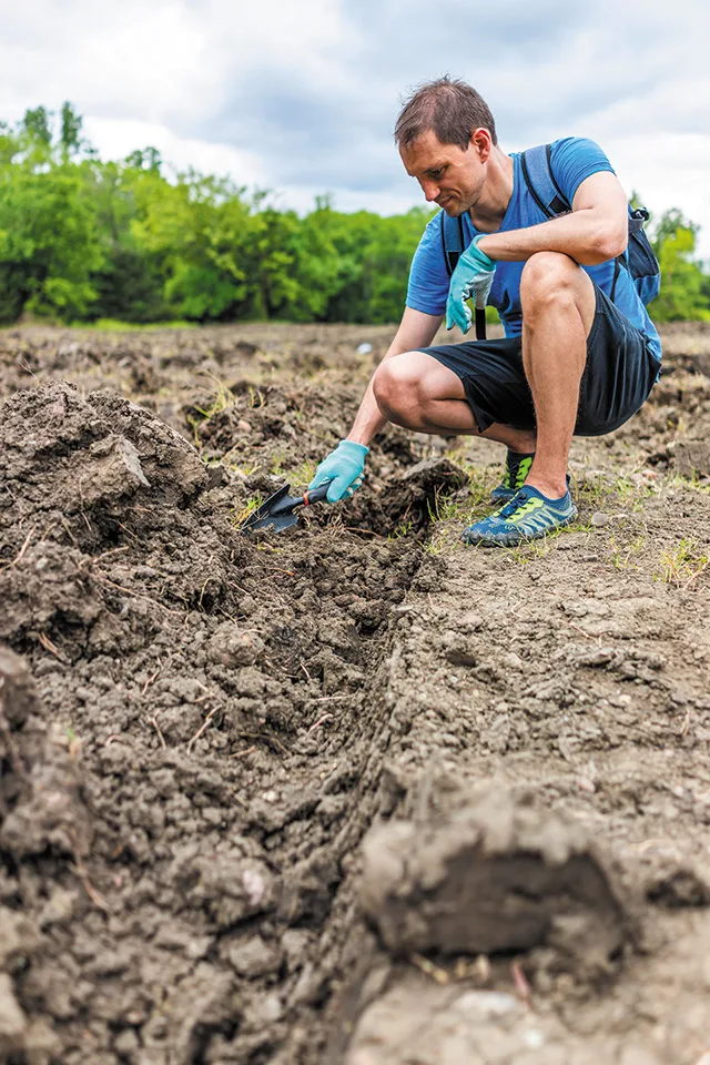 Digging in the Dirt for Diamonds