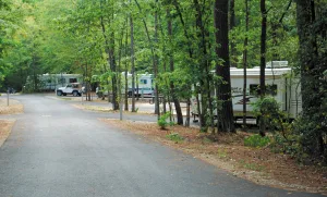 The campground at Crater of Diamonds State Park, open year-round, offers 47 RV sites within walking distance of the dig area.